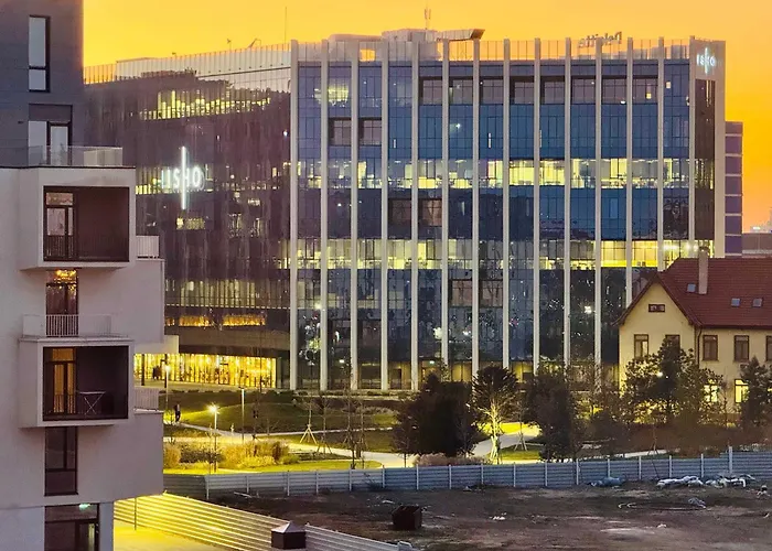 Joy Isho 35 Timisoara