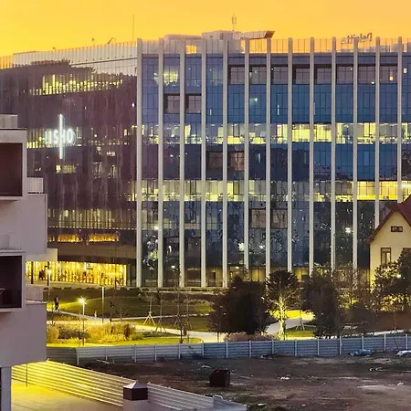 Joy Isho 35 Timişoara