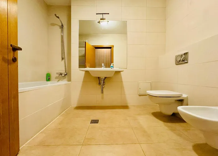 Joy Isho 35 * Timişoara